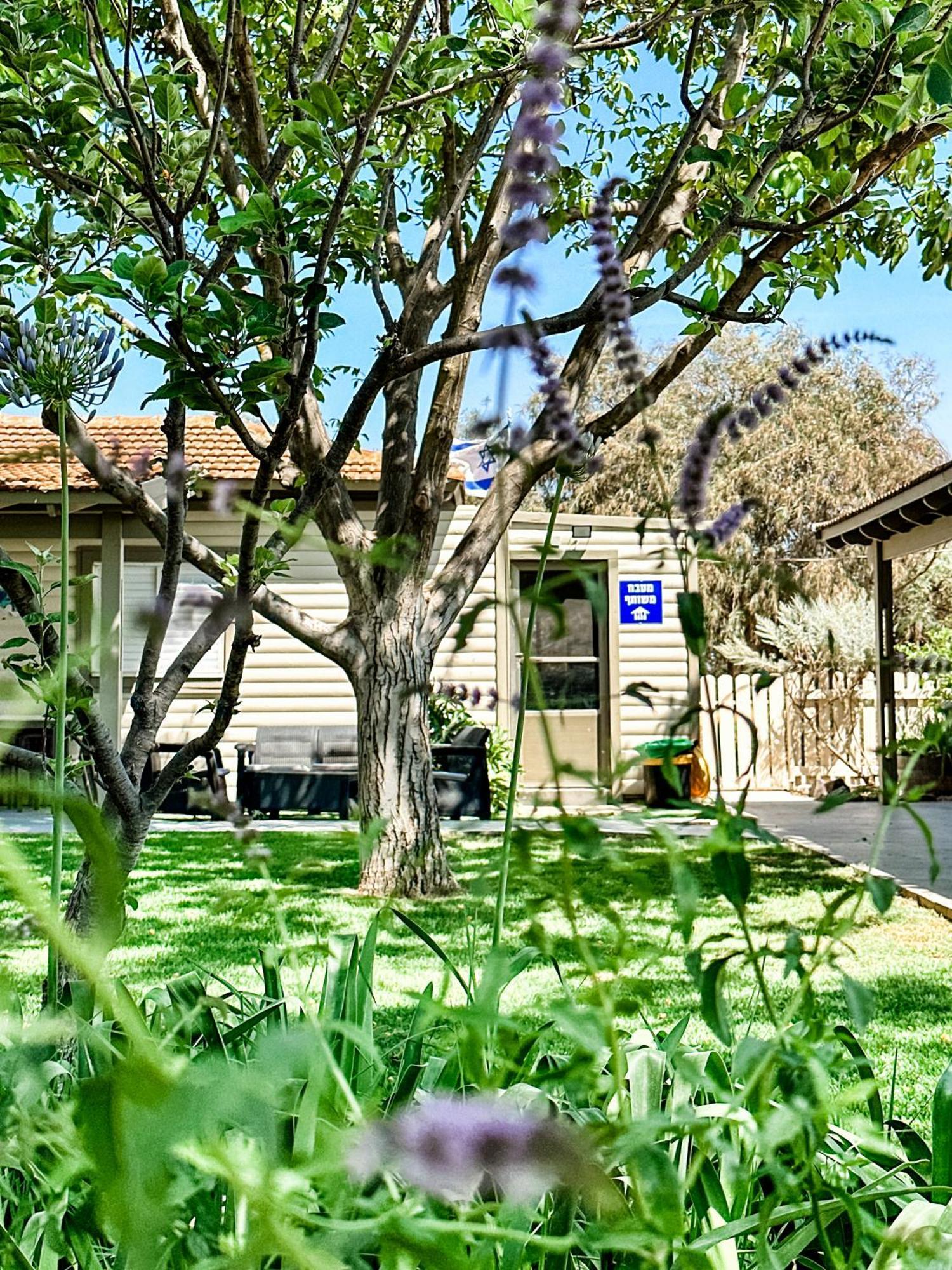 מלון נאות גולן אירוח אצל תמי מראה חיצוני תמונה